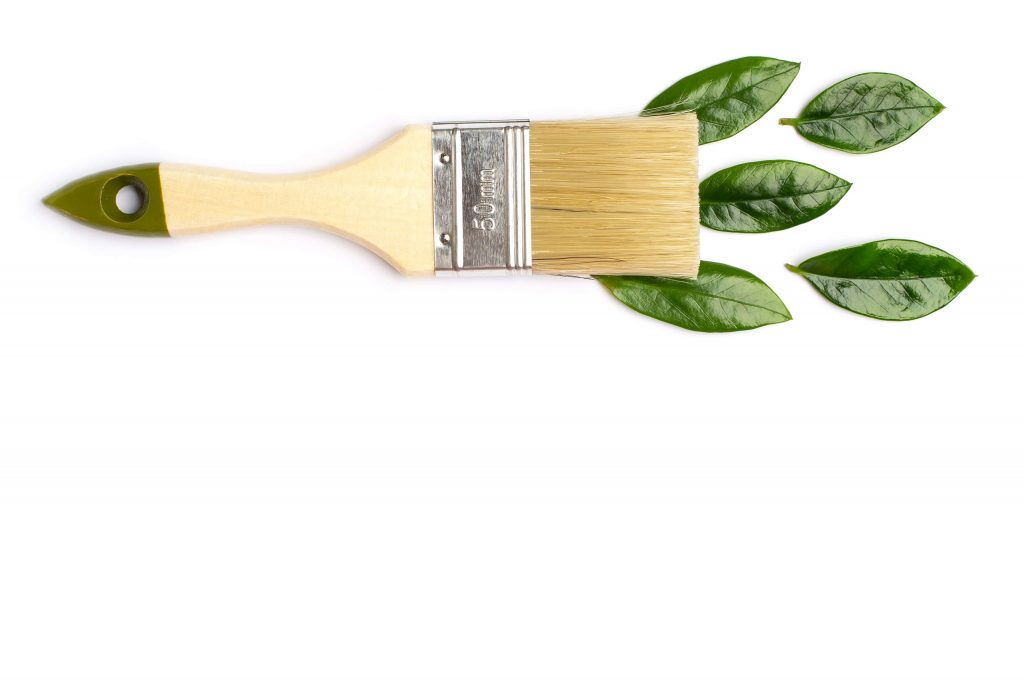 Eco-Friendly Paint A Simple Choice For A Healthier Home And Planet