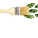 Eco-Friendly Paint: A Simple Choice For A Healthier Home And Planet